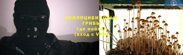 таблы Богородск