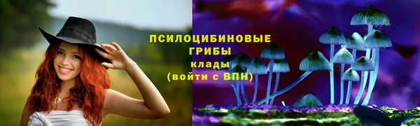 таблы Богородск