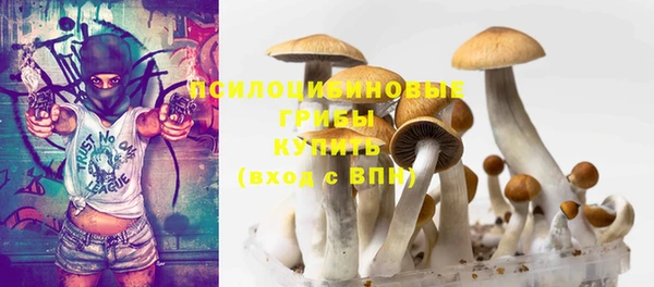 эйфоретик Богородицк
