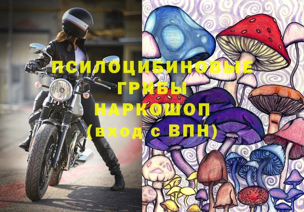 СК Богданович