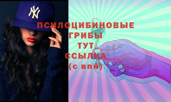 эйфоретик Богородицк