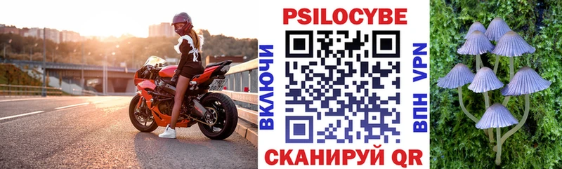 купить закладку Кирс Псилоцибиновые грибы мицелий